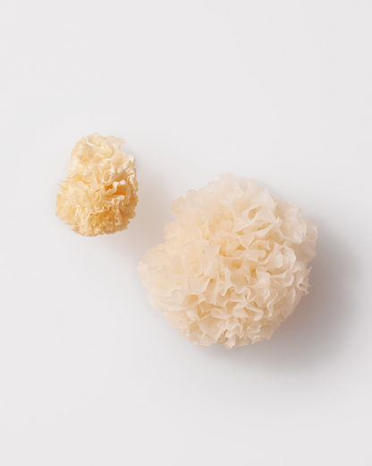Beauty Tremella Mushroom