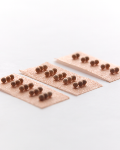 Posture Correct Ear Seed Kit
